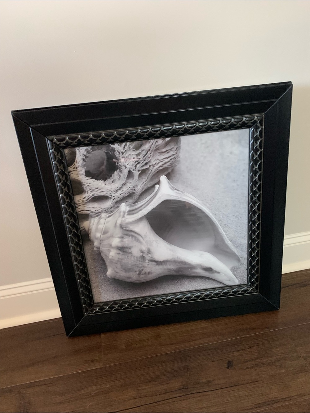 Black Decorative Shell Framed Wall Art - Home Accents